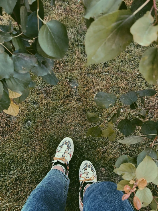 the bottom of a persons feet and shoes on top of a lush green bush