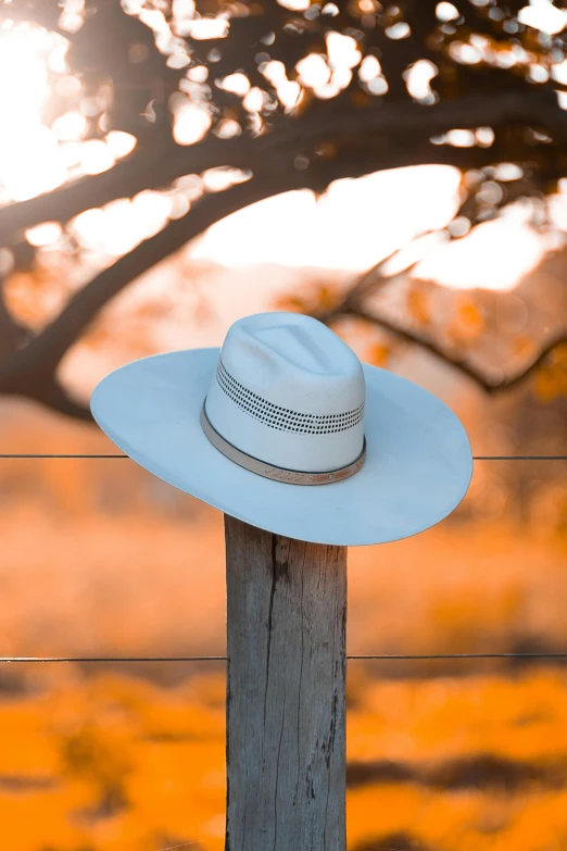 a hat sitting on top of a wooden pole