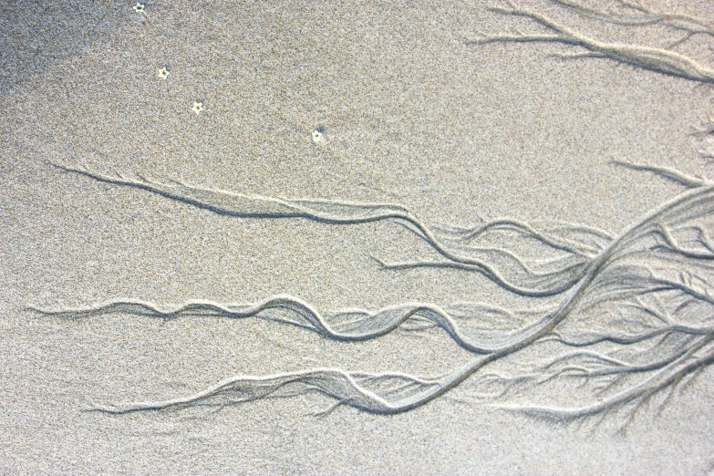 the sand on this beach is made up of waves