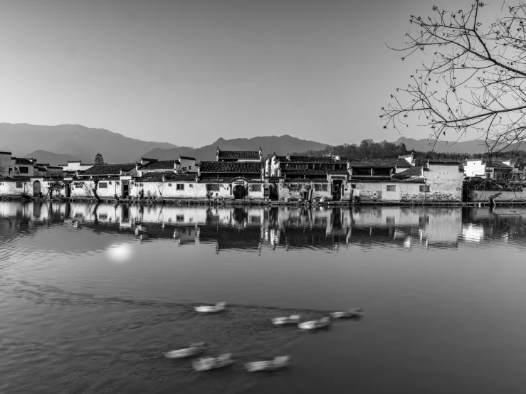 black and white image of a town over water with ducks