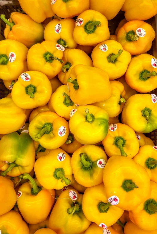 many yellow peppers are laying close together