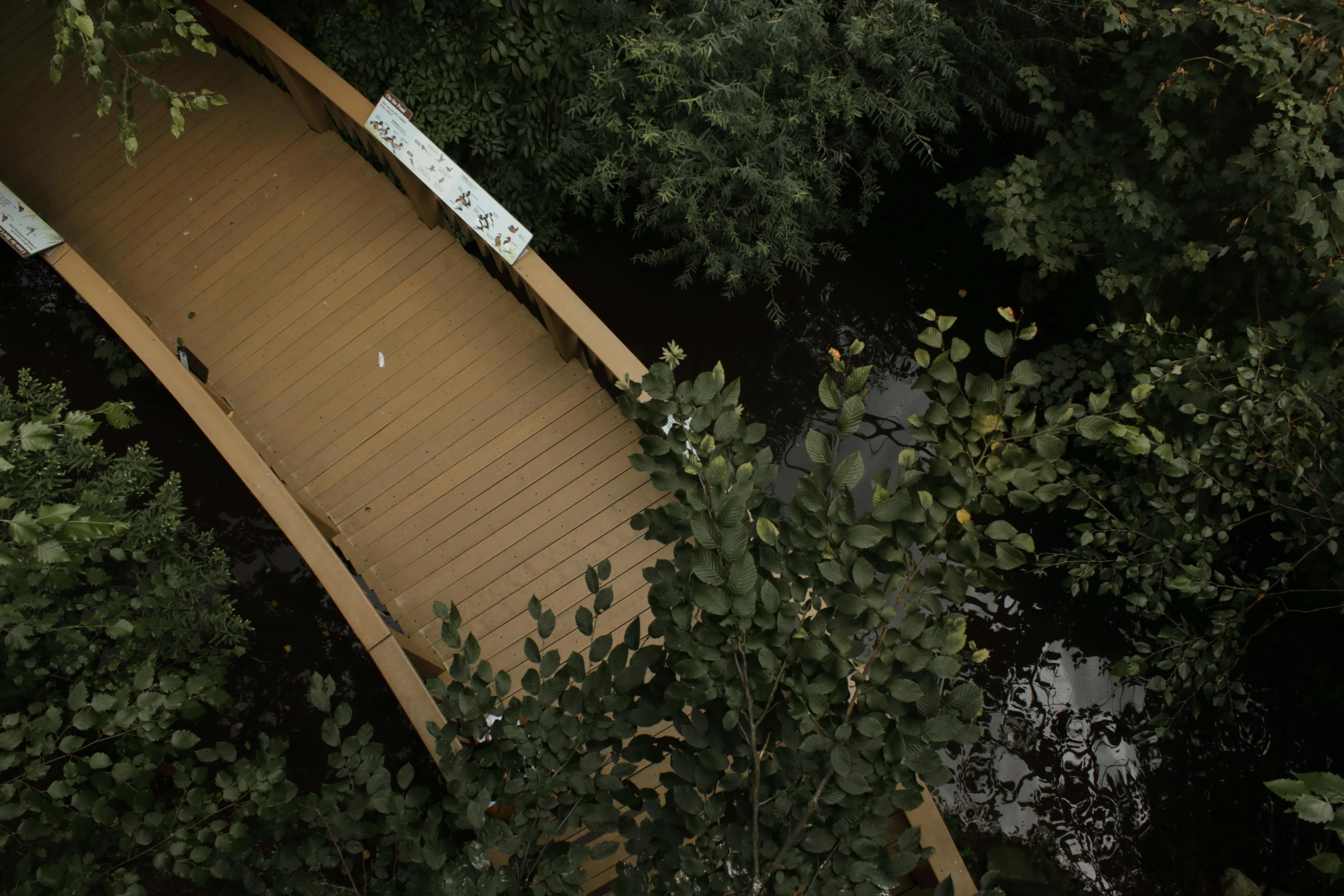 a bridge surrounded by trees and water