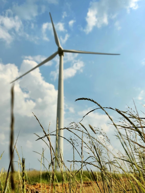 windmills standing on an open field with long grass