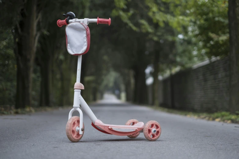 a child's scooter on the road near trees