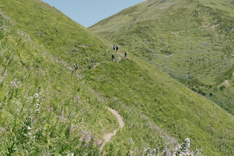 hikers going down a grassy slope near green mountain