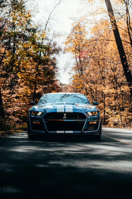 a mustang car driving down a street next to autumn trees