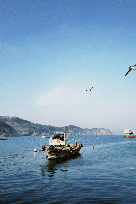 a boat in a body of water under a bird flying by