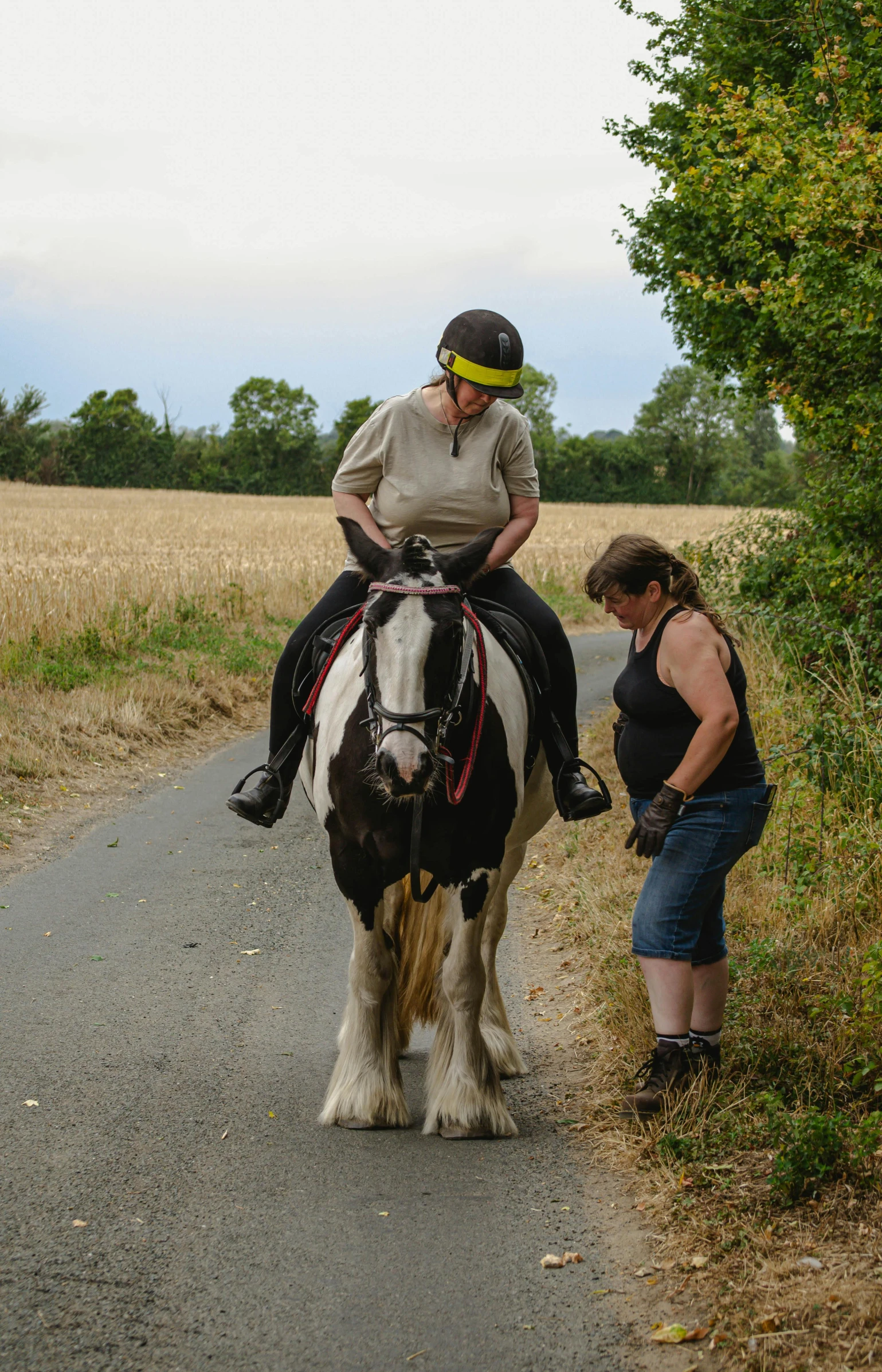 a person is standing in the grass next to a horse