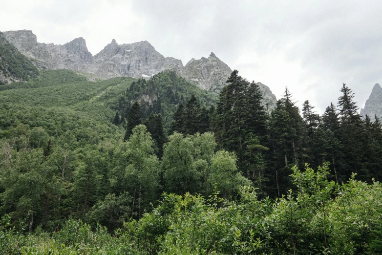 the mountains are surrounded by lush vegetation and tall trees