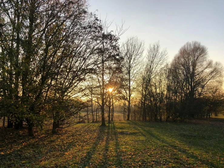 the sun is setting behind trees with the path in the grass