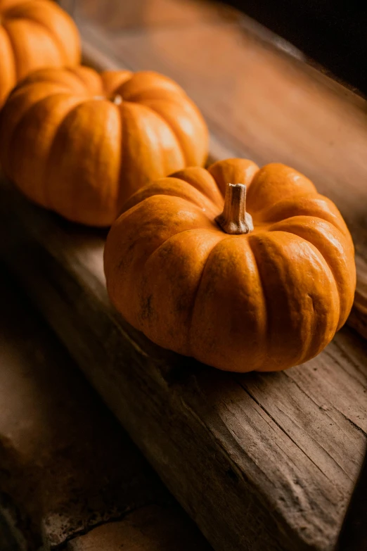 two pumpkins sit on a  board with wooden planks