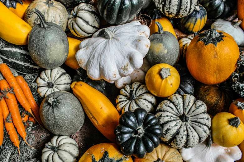 several pumpkins, gourds and squash arranged in a large grouping