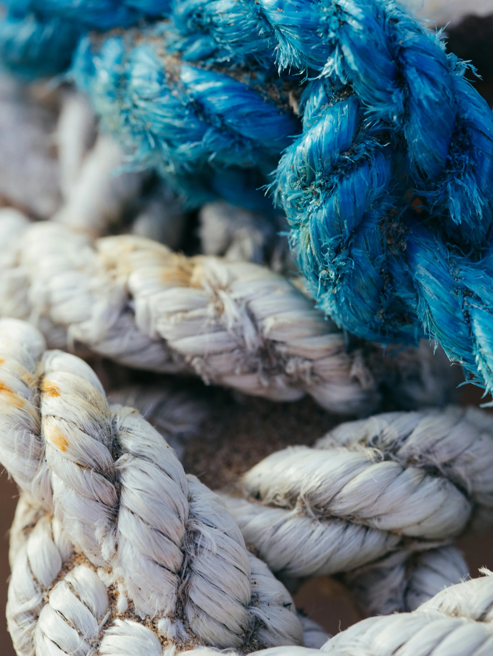 a piece of rope that is blue and white