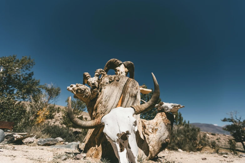 a horned animal sitting by a tree trunk