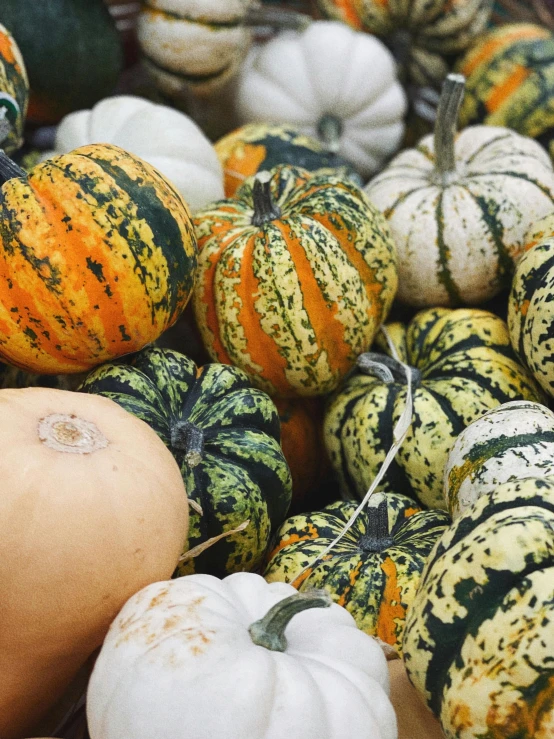 a large pile of gourds sitting next to each other