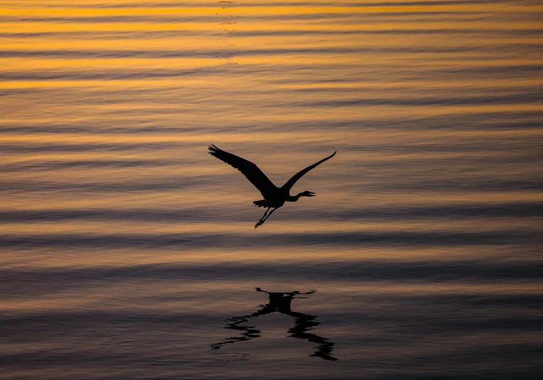 a bird flying high over the ocean with its wings outstretched
