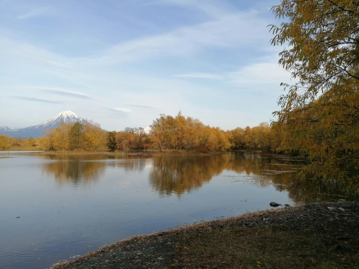 the view of the woods on a lake in the fall