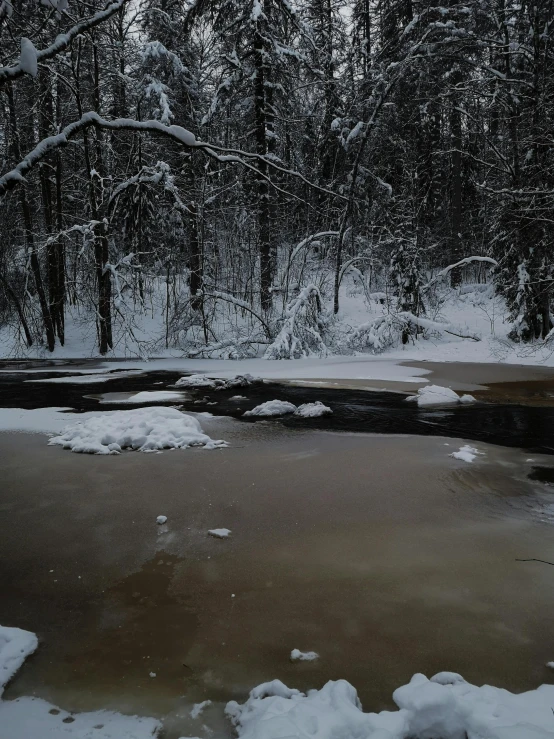 a snow covered area with water, trees and a path