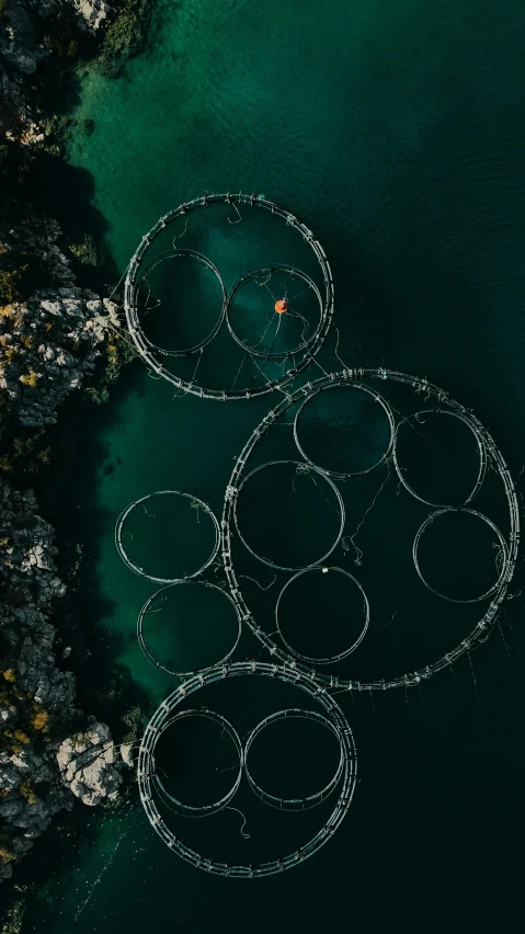 aerial view of four circles with floating ropes