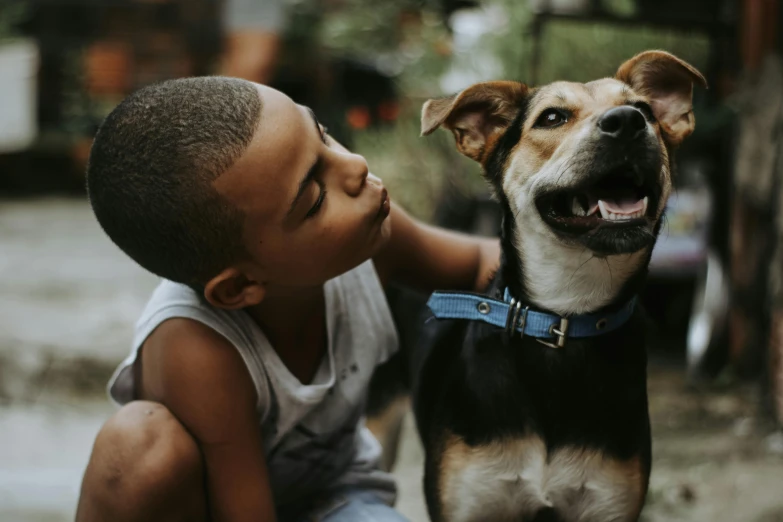 a small boy pets a dog as it looks up