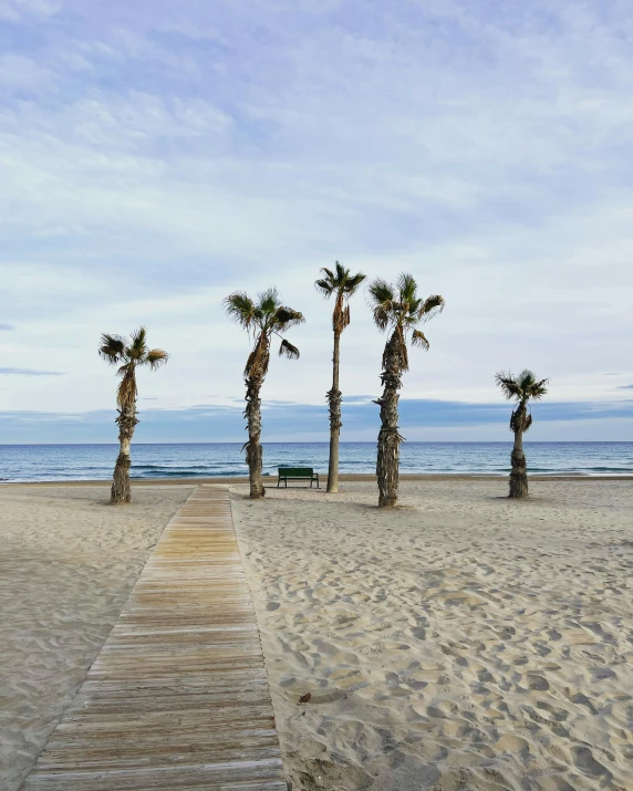 a set of steps leading to palm trees on a beach