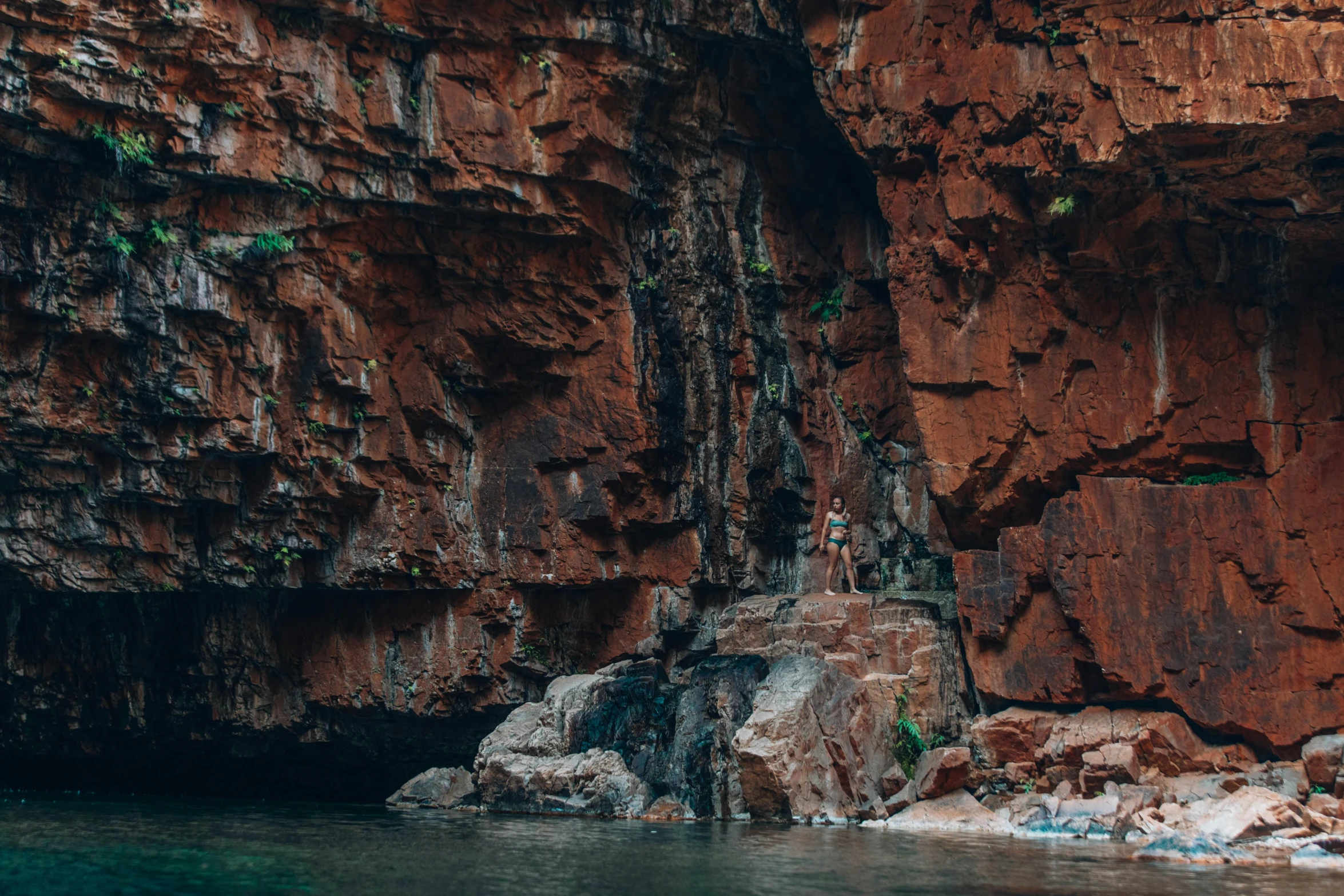 two water birds sitting on rocks and some cliffs