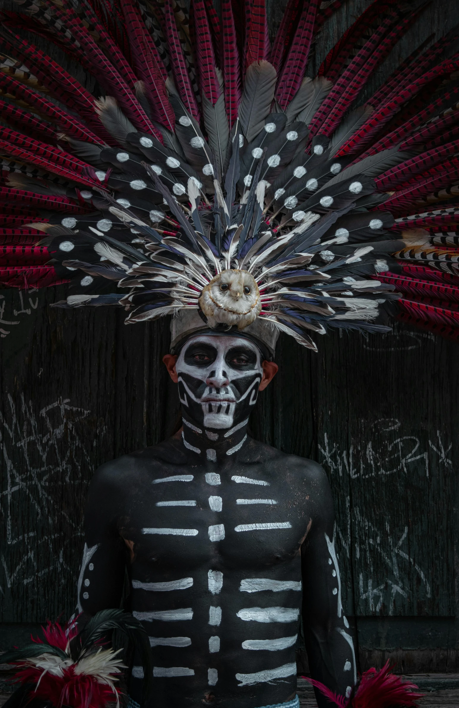 a skull shaped skeleton dressed in black, white and red feathers