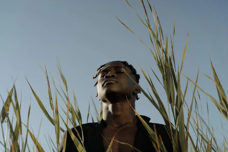 a person standing behind tall grass looking up