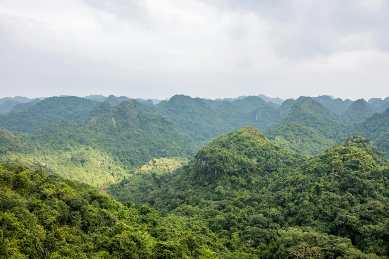 the mountain tops are green and there is some grass in the foreground