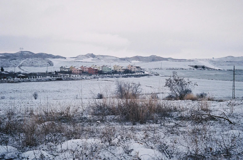 the grass and bushes are covered with a covering of snow