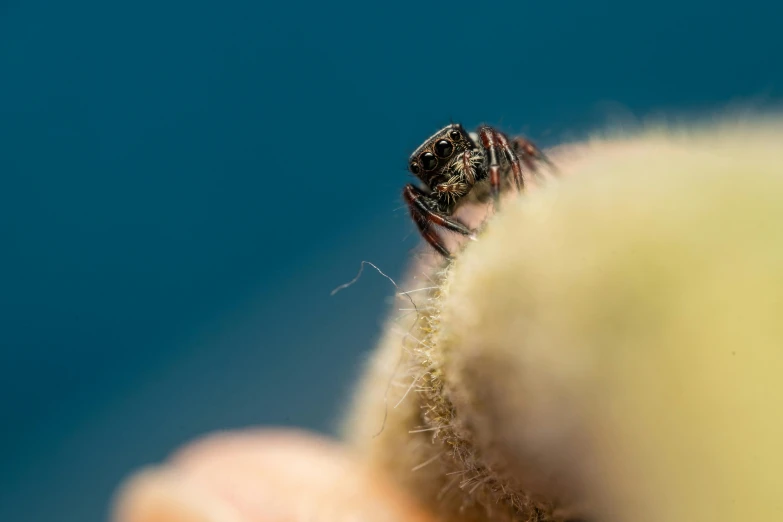 a close up of a person holding soing in their hand