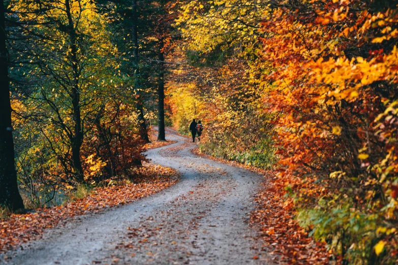 an image of a person walking on a trail