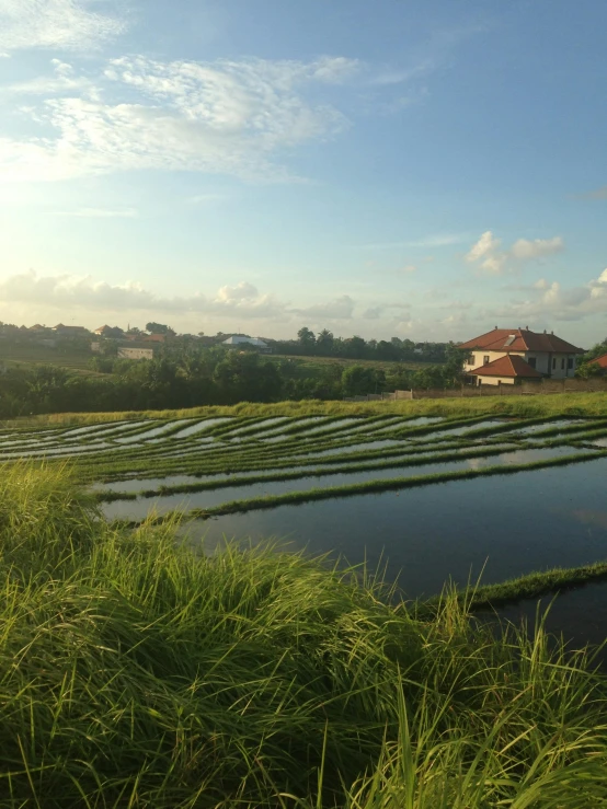 the building is near a pond in the field