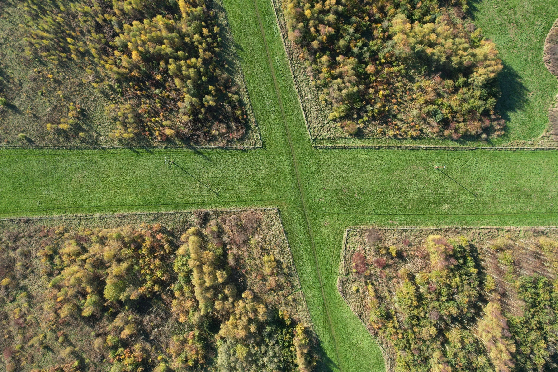 a po of many different trees in a grassy area