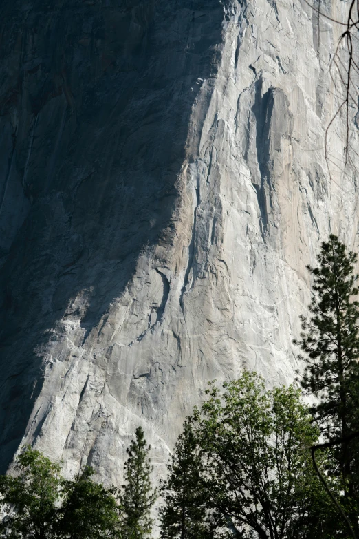 the side of a large rock face with trees