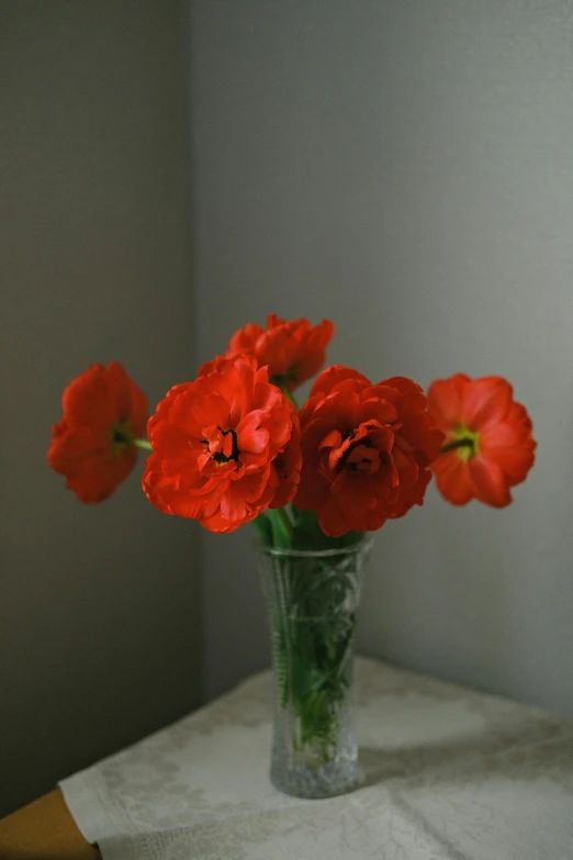 a bunch of red flowers in a glass vase
