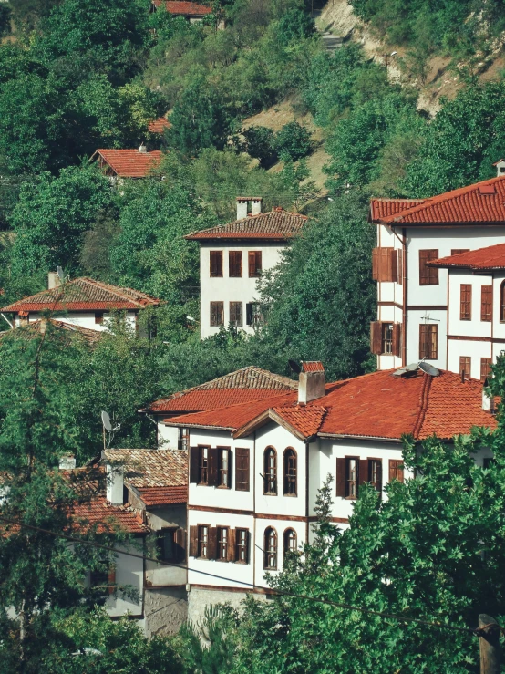 an aerial view of homes near trees in front of a hillside