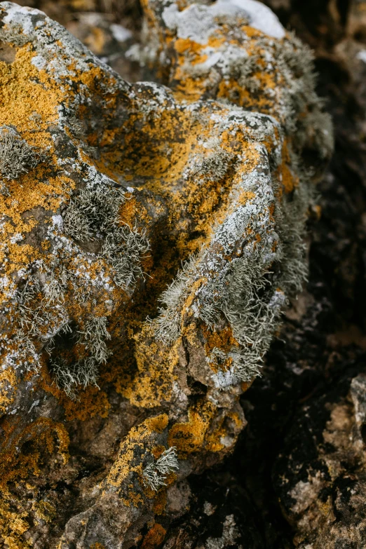 a rock with yellow and gray splottered on it