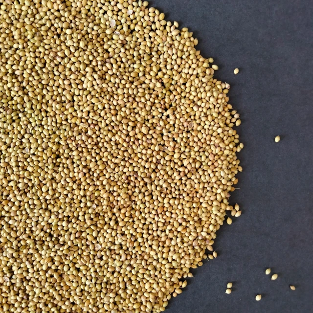 some yellow seeds are on a black table