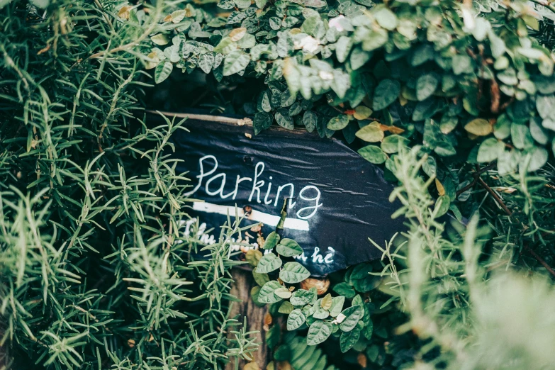 a parking sign is hanging from a bush outside