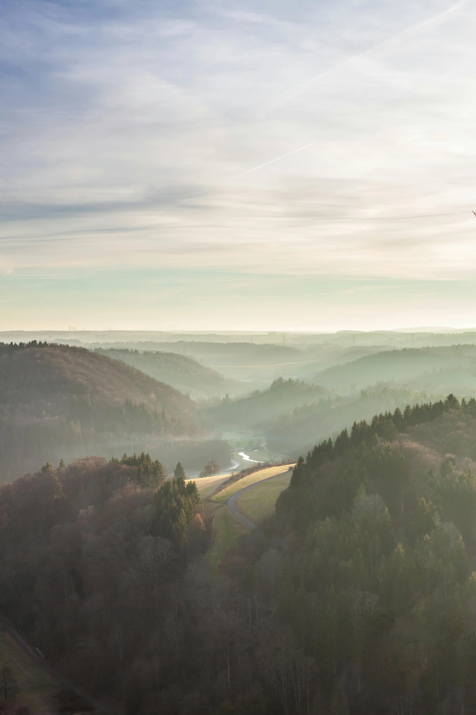 aerial po of forested area on foggy day