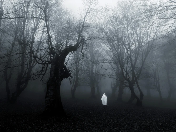 a person wearing white walks in the woods on a foggy day