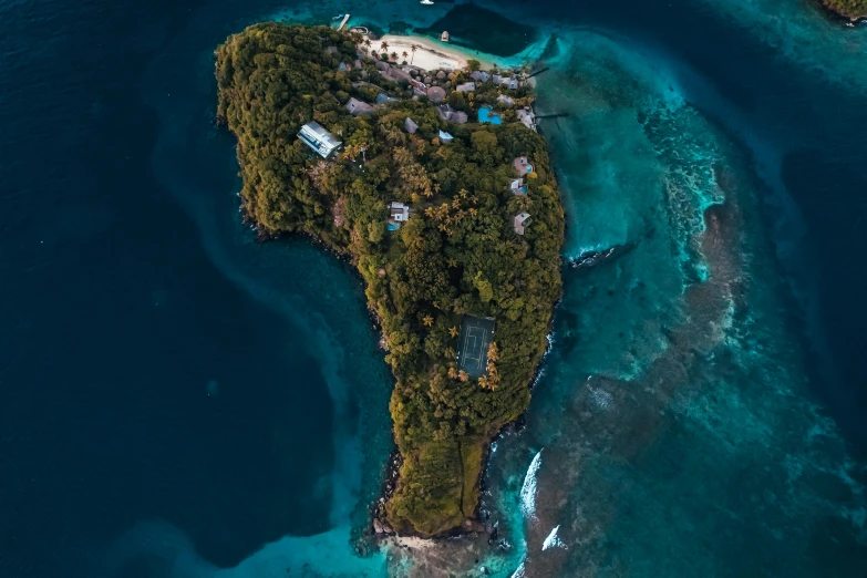 an aerial view of a lush green island with lots of trees