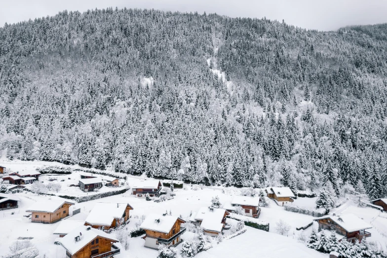 a snowy mountain town with a slope covered in trees