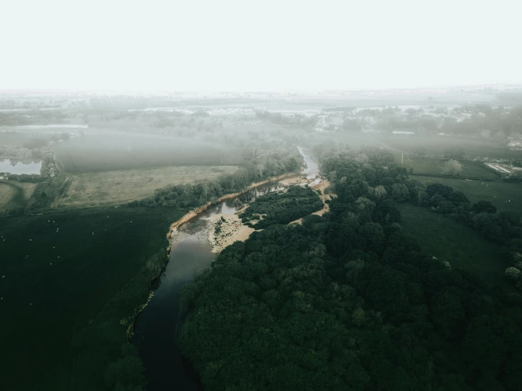 aerial view of trees and water near a river