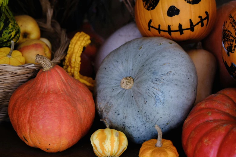 various colorful pumpkins on display in wicker baskets