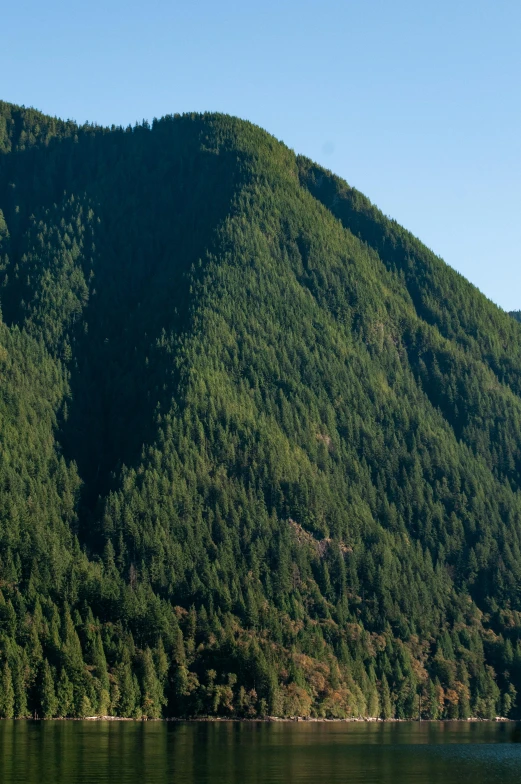 the mountains of a mountainous area are covered in green foliage