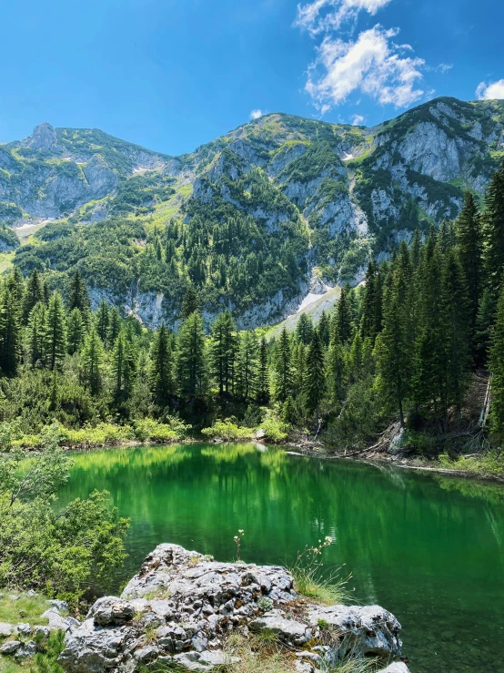 a green mountain lake surrounded by trees