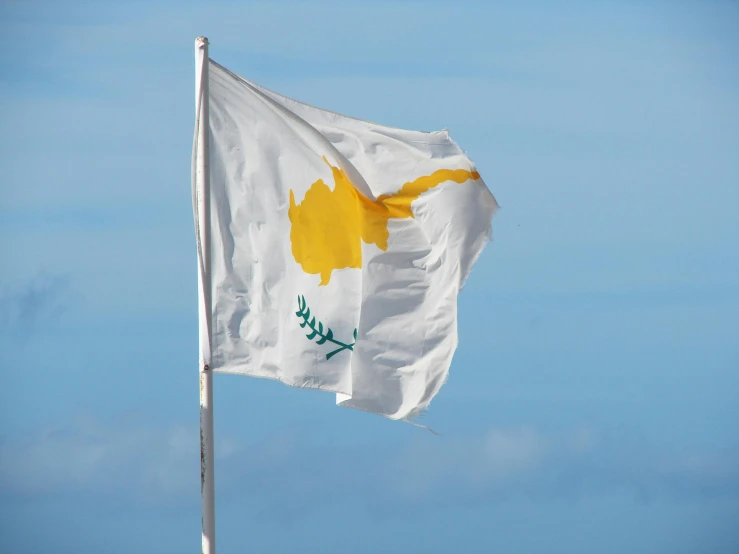 an old flag flying from a tall pole