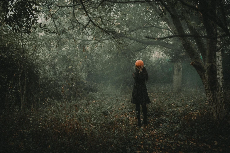 a person stands alone in a dense forest